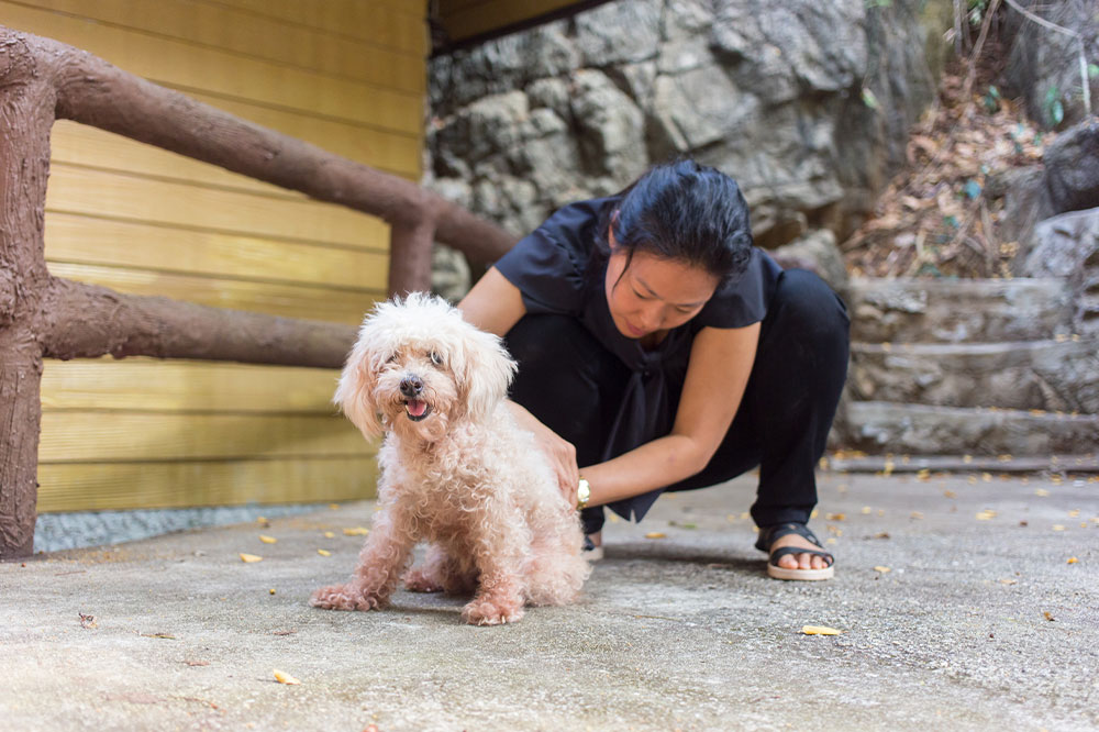 Tips to Keep Your Pets Away from Ticks and Fleas