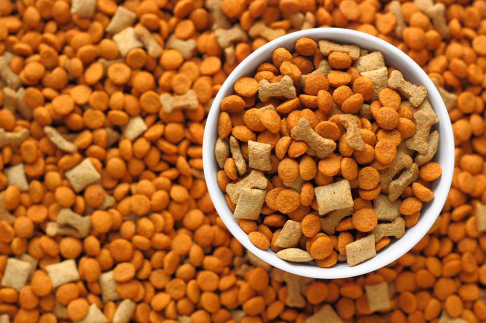 4 High Protein Dog Food