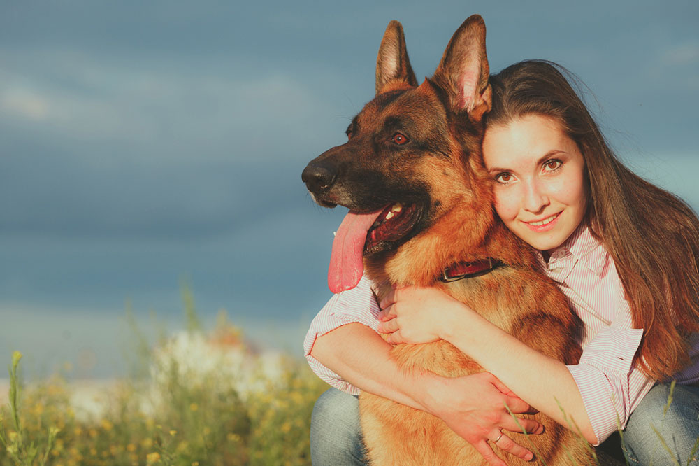 6 Things You Need to Carry When Flying With Pets