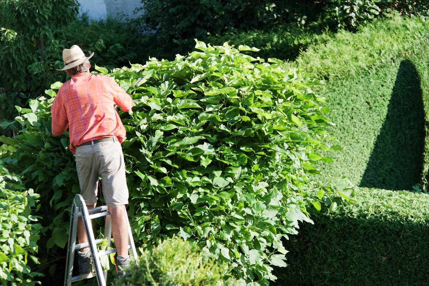 5 Hacks to Make Yard Work Easy